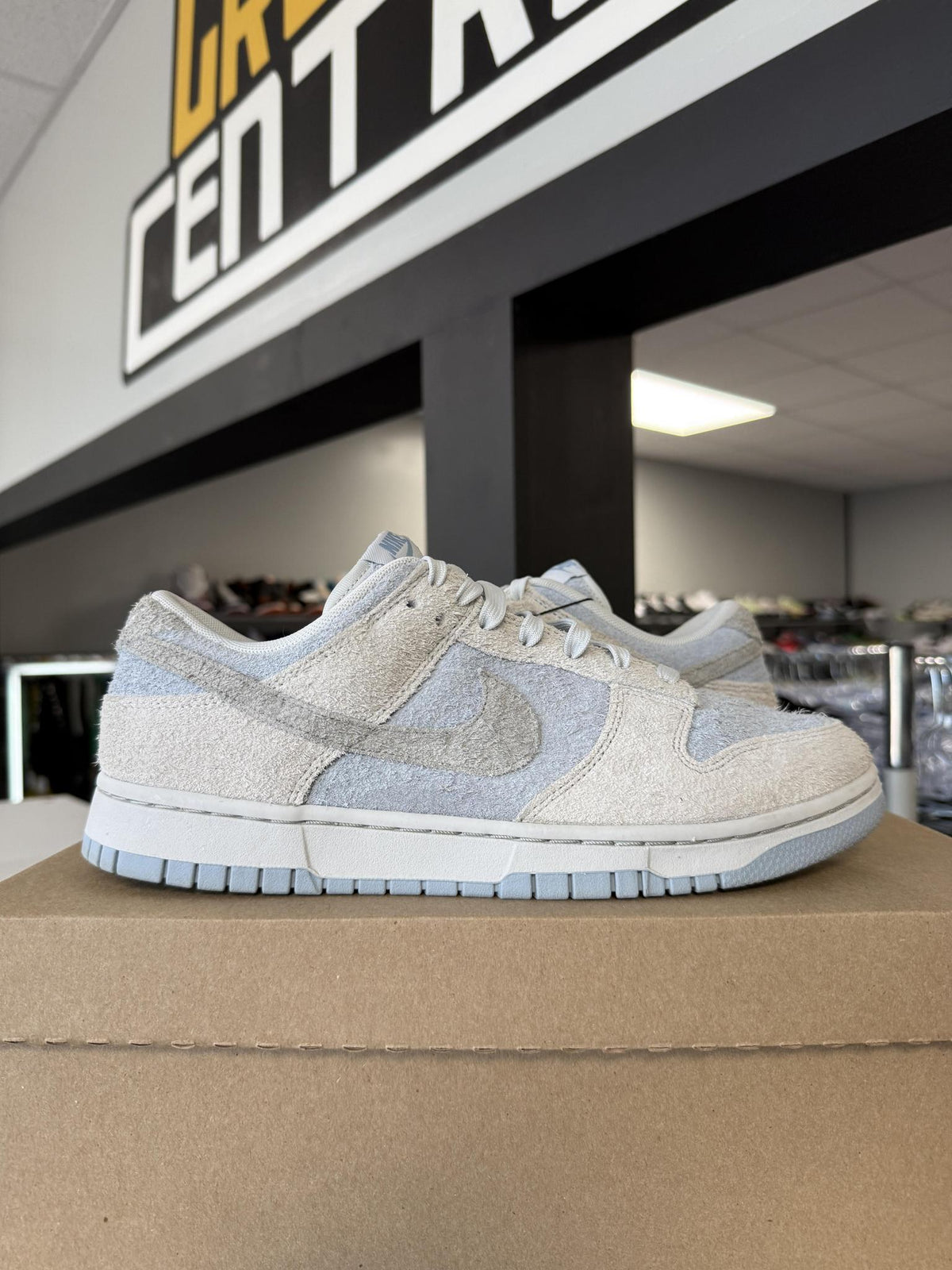 Dunk Low Light "Armory Blue" Used Size 9.5