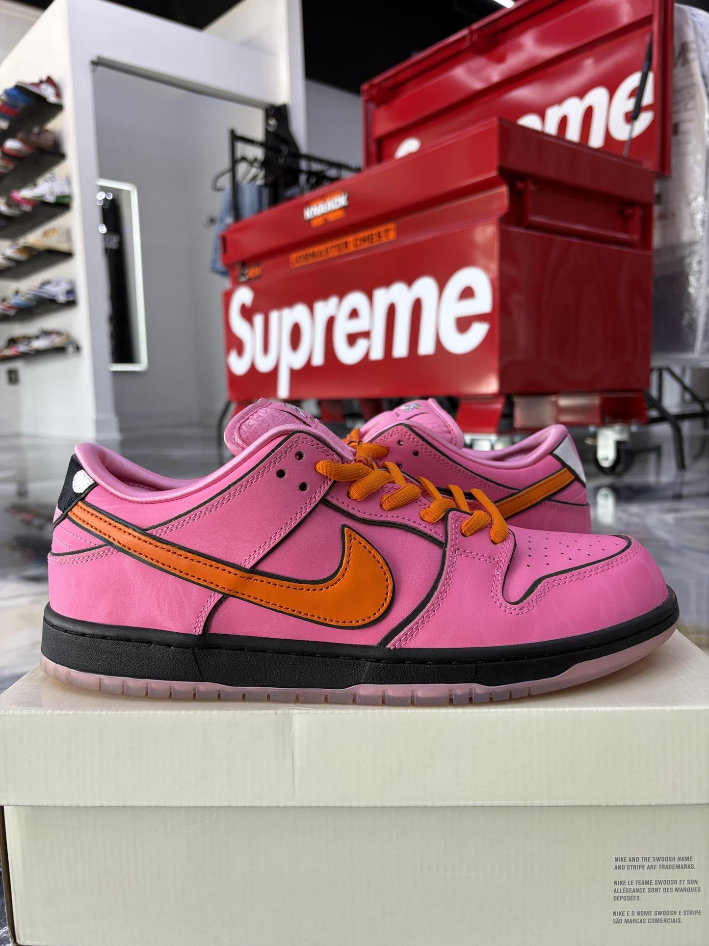 Nike SB Dunk Low "Powerpuff Blossom" Used Size 12