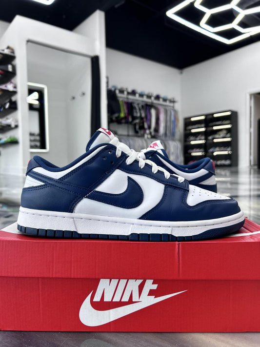 Nike Dunk Low "Valerian Blue" Used Size 10
