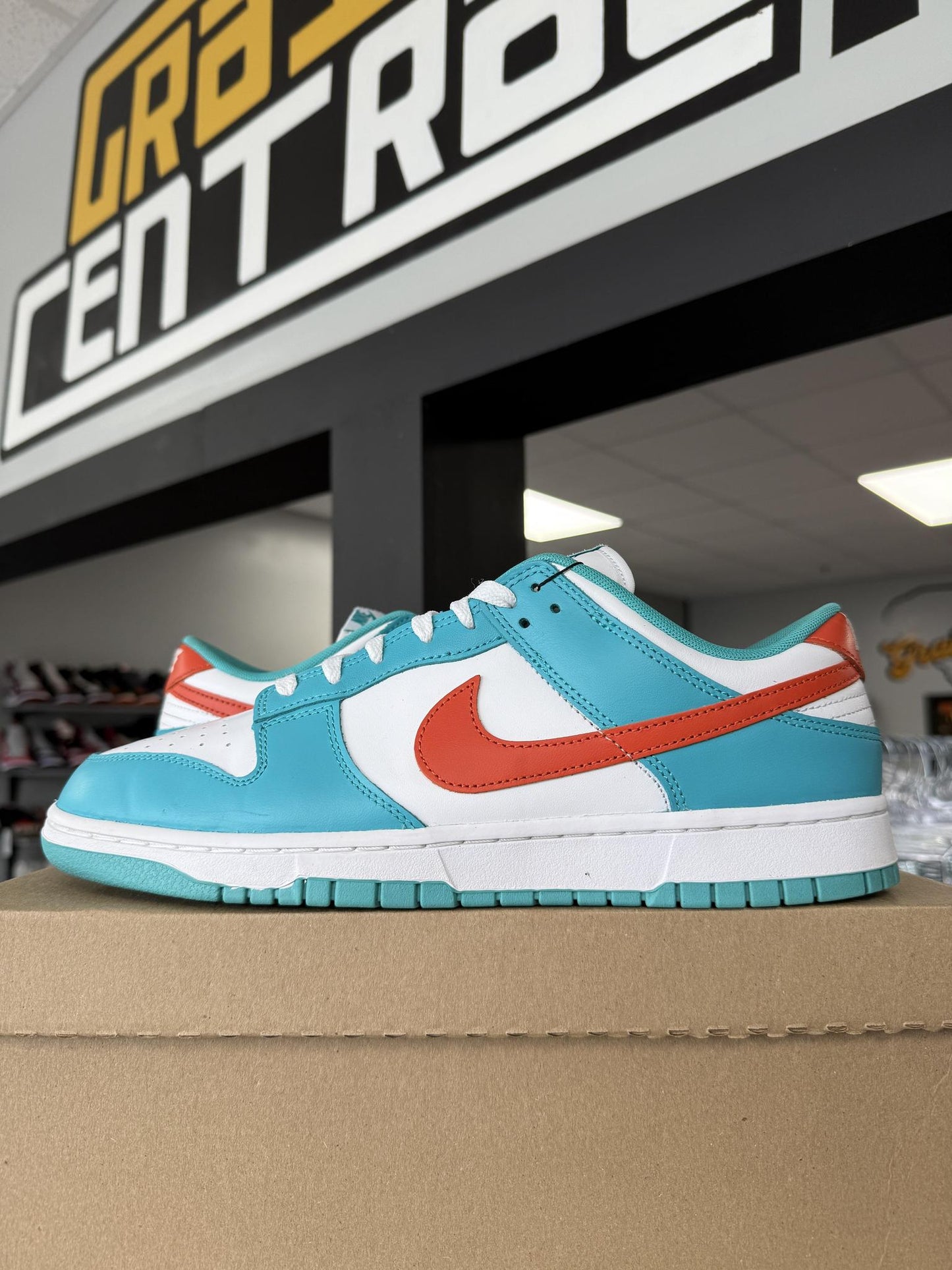 Dunk Low "Miami" Used Size 12