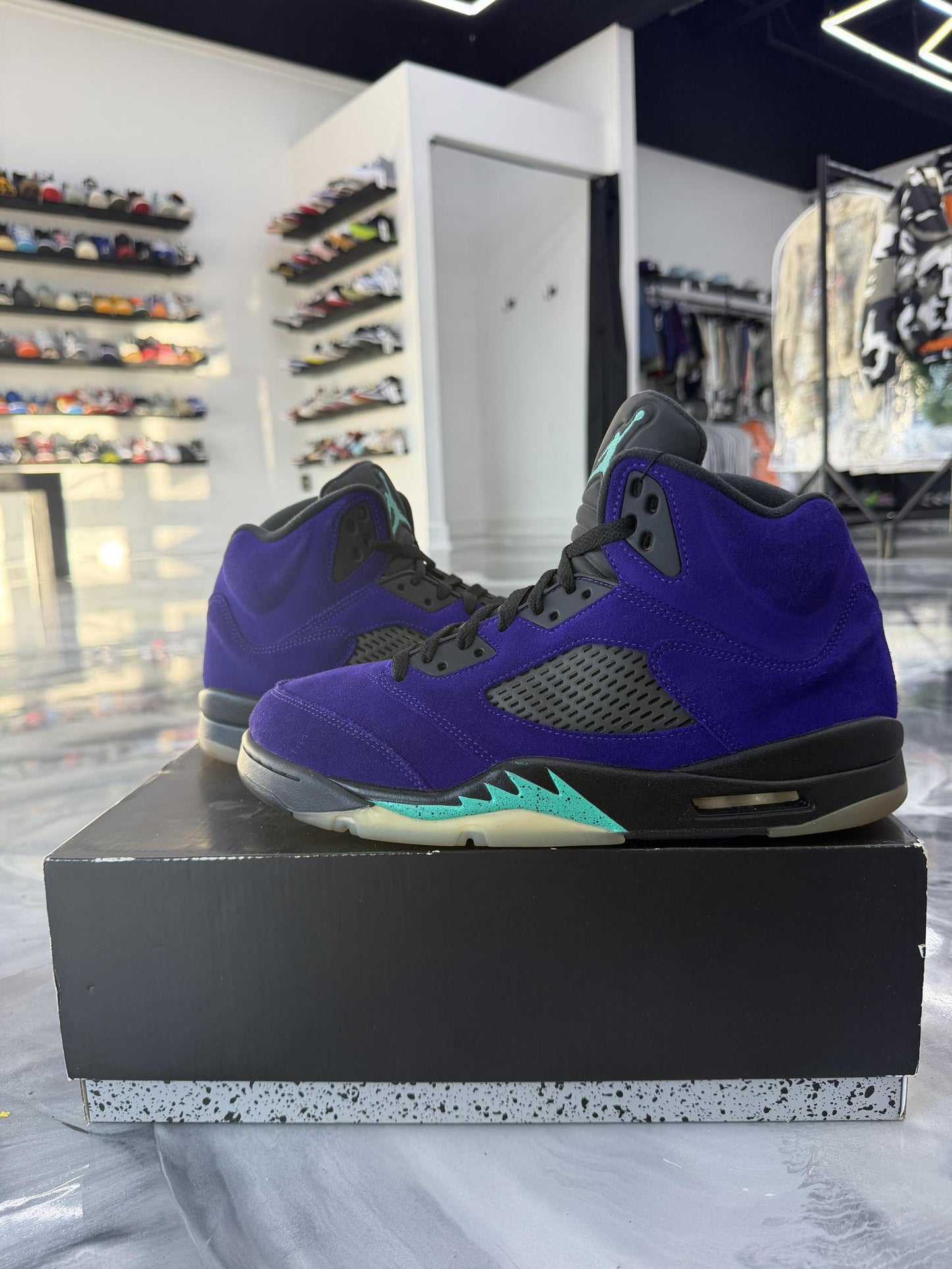 Jordan 5 "Alternate Grape" Used Size 11.5