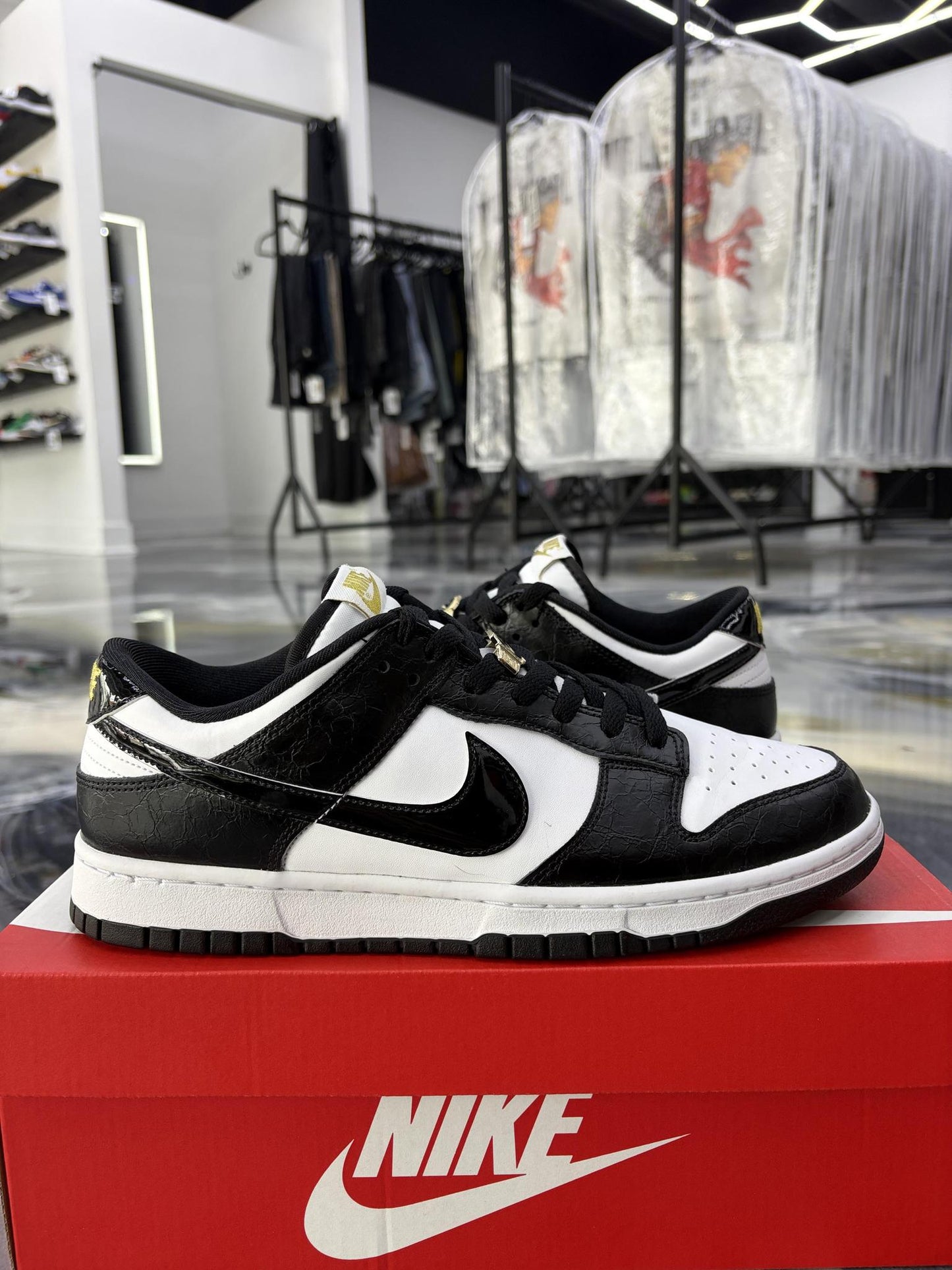 Nike Dunk Low SE "World Champs" Used Size 10