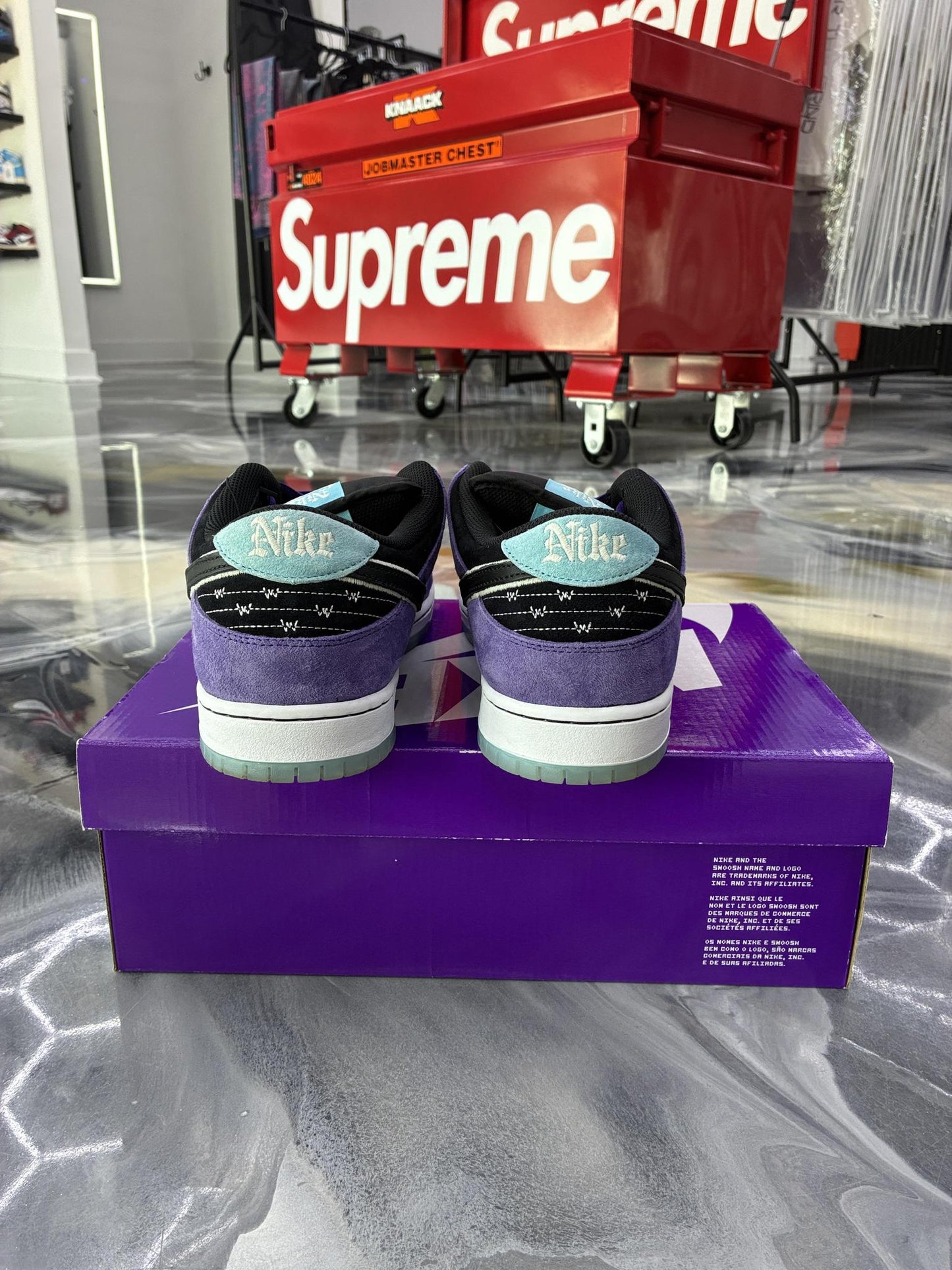 Nike SB Dunk Low "Hayley Wilson" Used Size 12