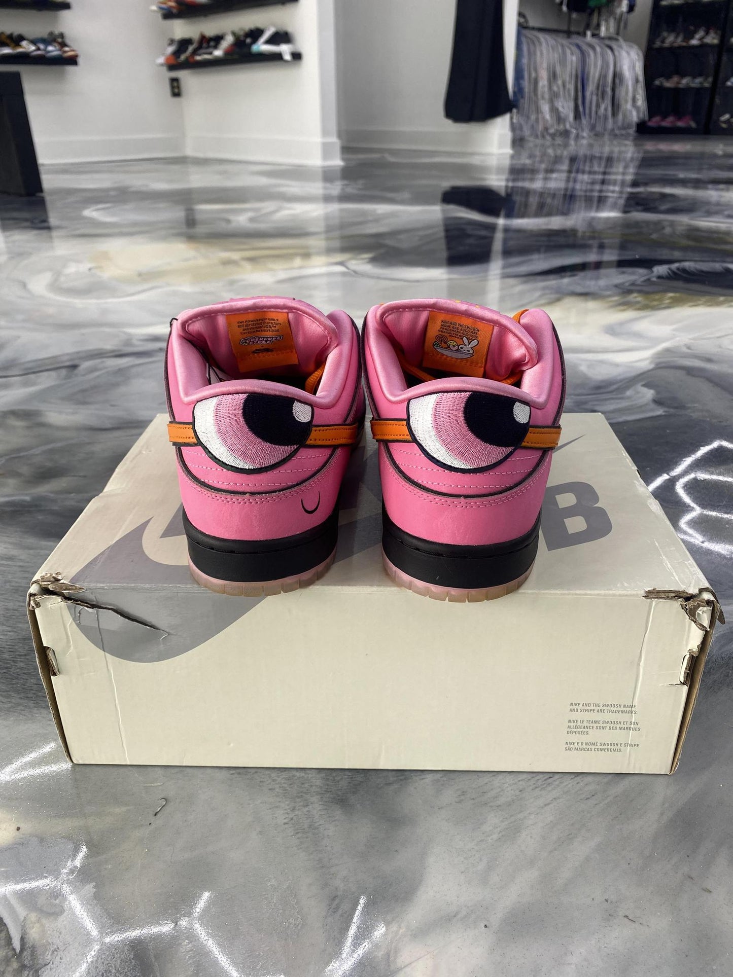 Nike SB Dunk Low x "Powderpuff" Used Size 9.5