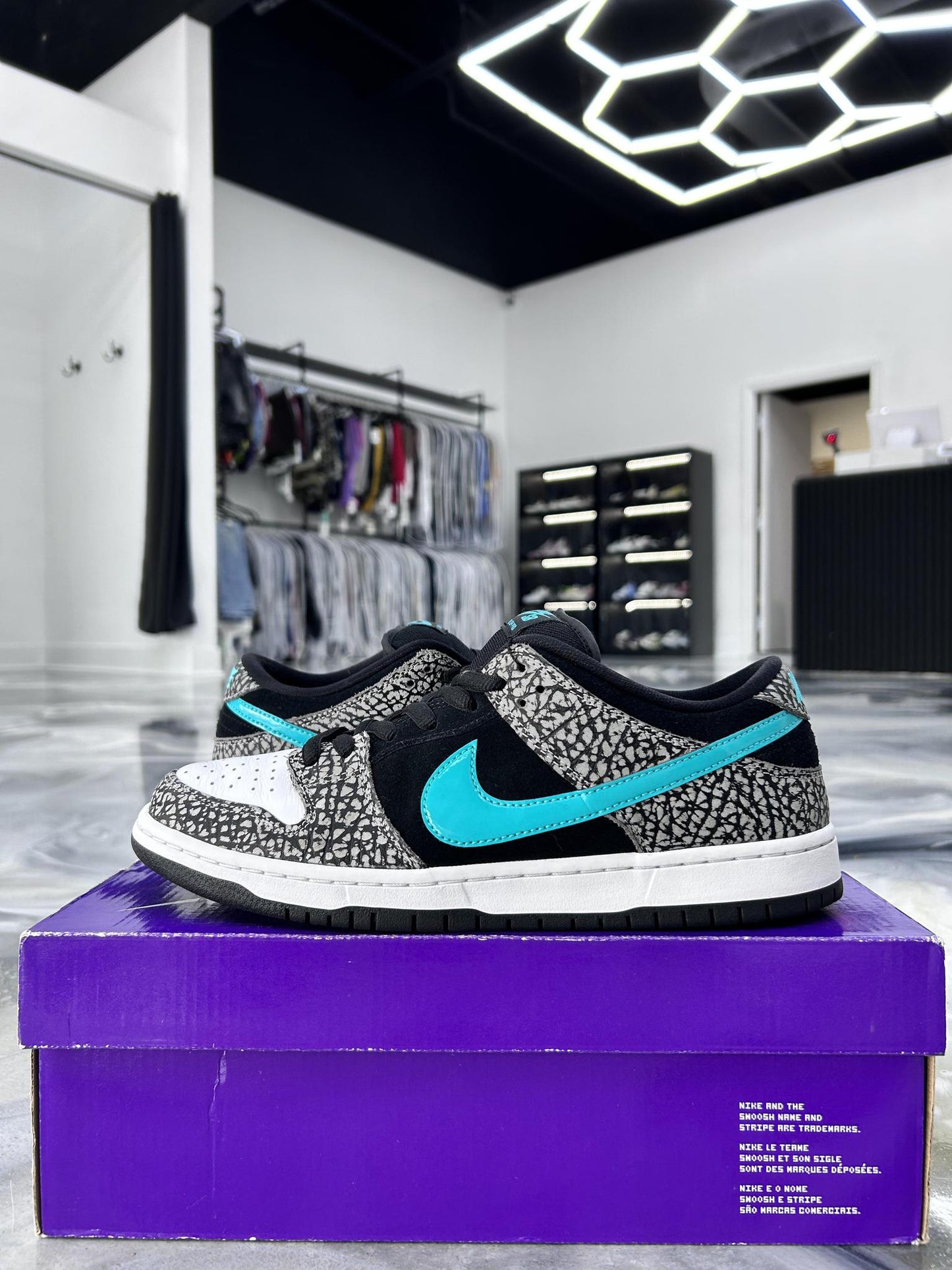 Nike Atmos SB "Atmos" Used Size 10