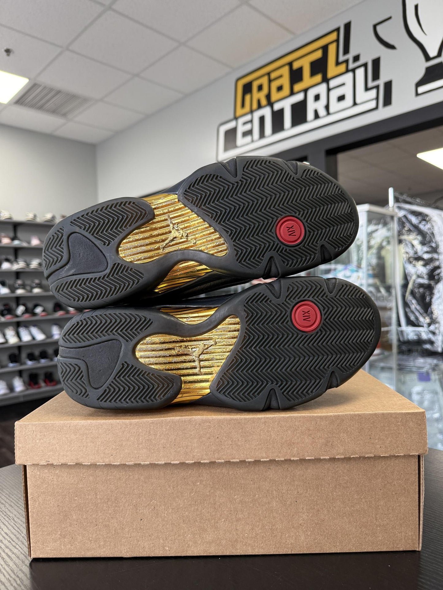 Jordan 14 "DMP" Used Size 11