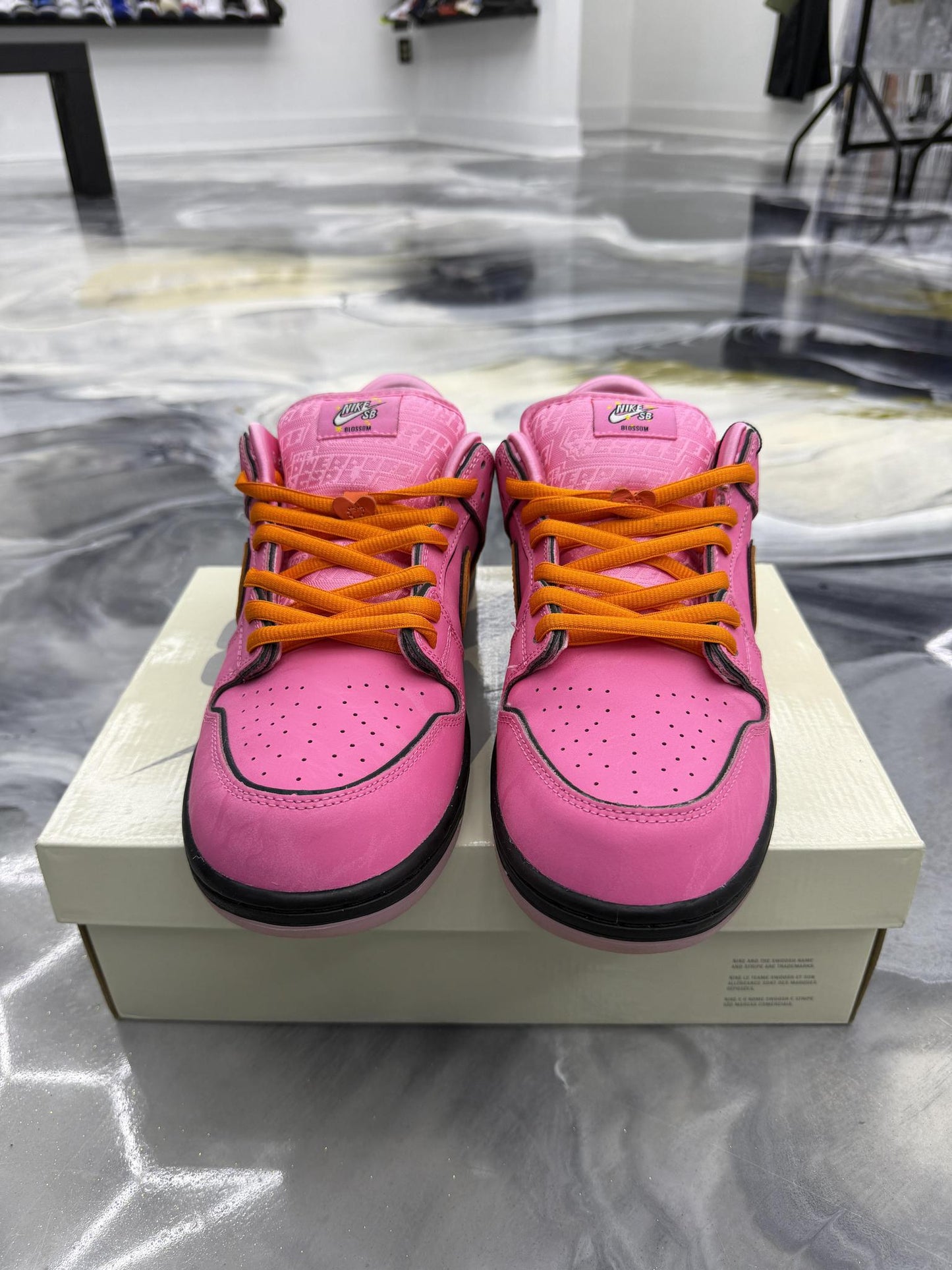 Nike SB Dunk Low Powerpuff Girls Blossom Used