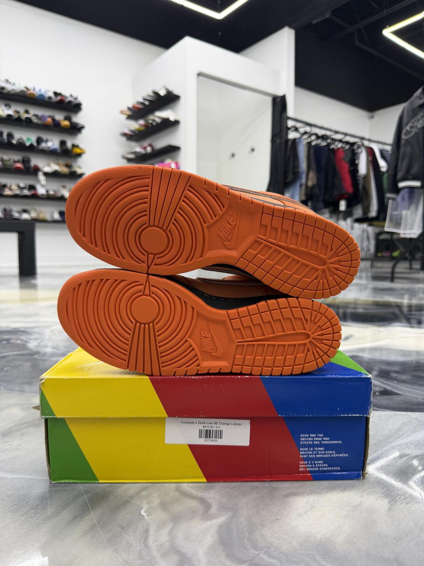 Nike SB Dunk Low Orange Lobster Used Size 9.5