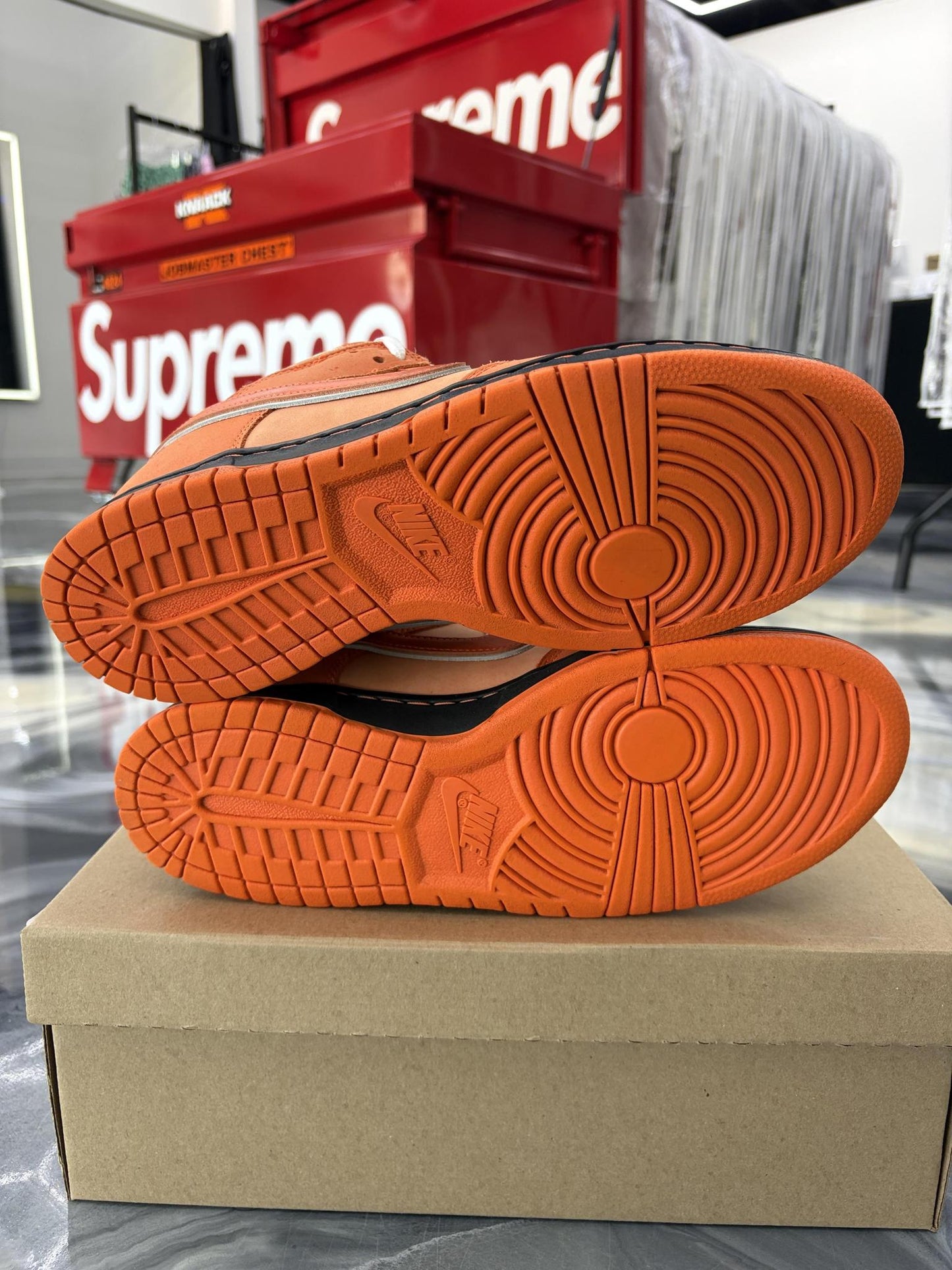 Nike SB Dunk Low "Orange Lobster" Used Size 10
