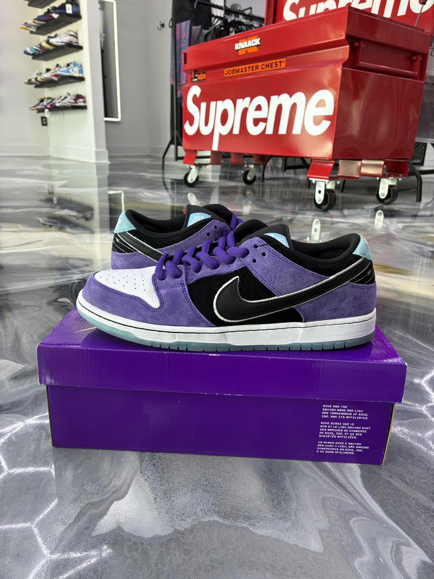 Nike SB Dunk Low "Hayley Wilson" Used Size 12